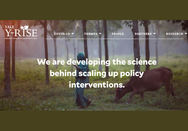 Y-RISE website image