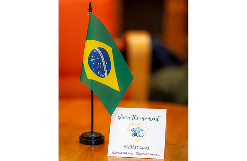 Brazilian flag with photocard